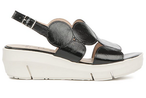 Wonders Sandal | White + Black + Gold
