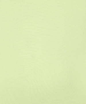 Esqualo Basic Singlet | Apple