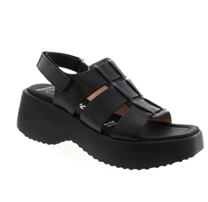 Wonders Sandal | Black