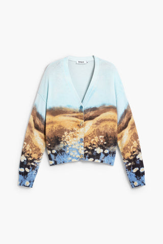 Desigual Landscape Cardigan | Light Blue