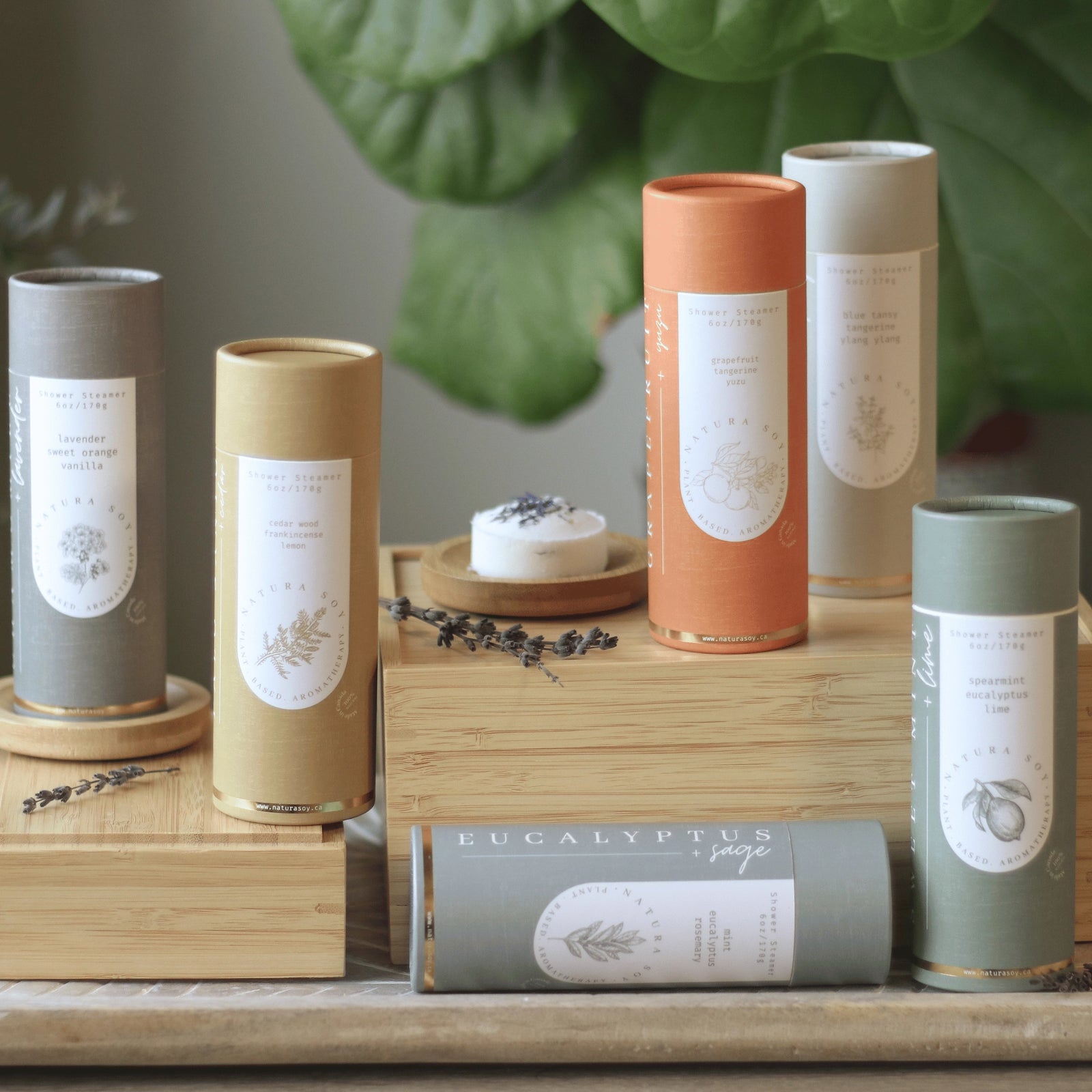 Natura Soyligghts Shower Steamers | 5 Pack