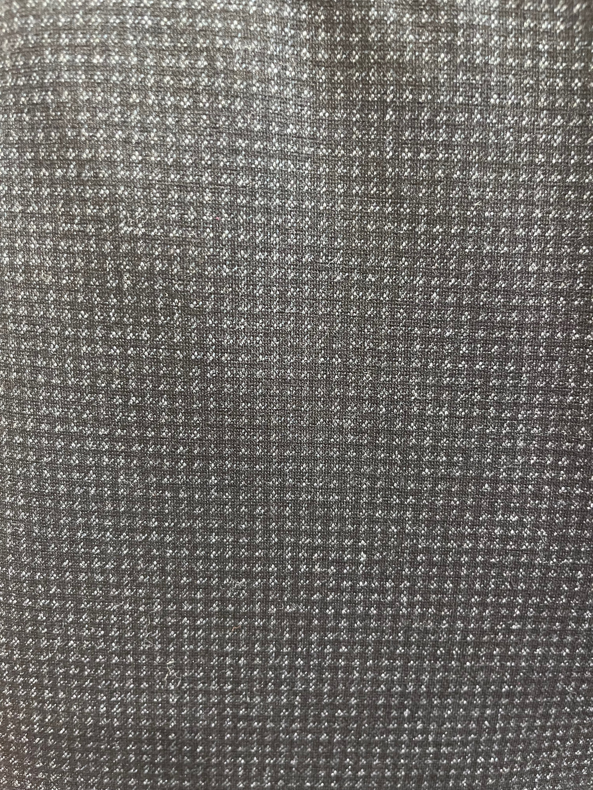 Sanctuary Carnaby Kick Crop Legging | Shadow + Dotty