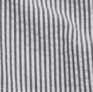 Esprit Stripped Shorts | Blue Stripe