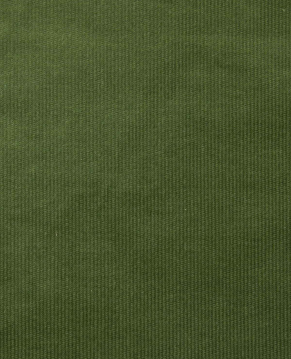 Toad & Co Coaster Cord Wide Leg Pant | Epidote