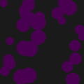 BLACK CURRENT