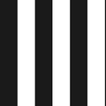 BLACK STRIPE