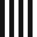 BLACK WHITE STRIPE