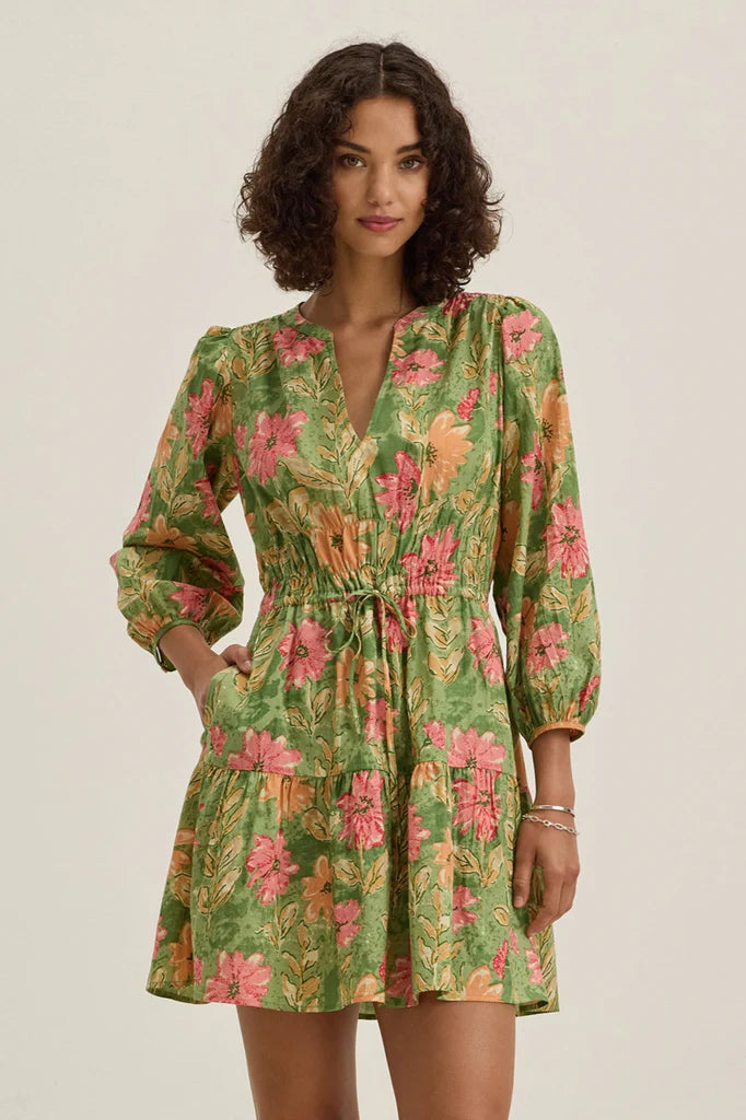 Velvet By Graham & Spencer 100% Cotton Dress | Garden