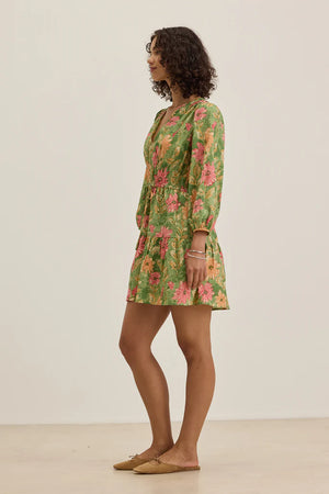 Velvet By Graham & Spencer 100% Cotton Dress | Garden