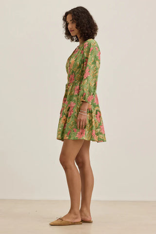 Velvet By Graham & Spencer 100% Cotton Dress | Garden