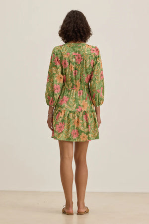 Velvet By Graham & Spencer 100% Cotton Dress | Garden