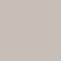 PUMIC STONE